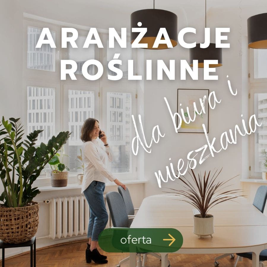 Aranżacje roślinne wnętrz